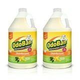 OdoBan Disinfectant Concentrate and Odor Eliminator, Citrus Scent, 2 Gallon Pack